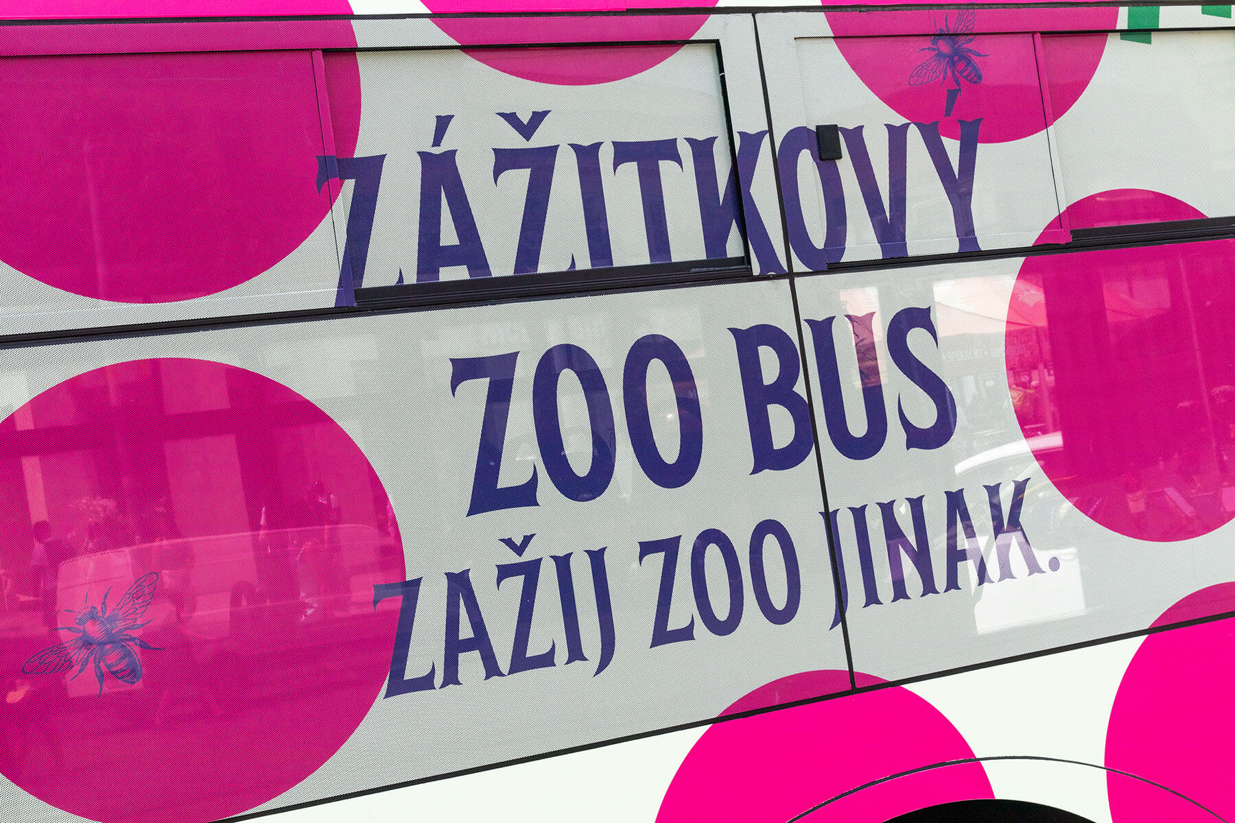 Zážitkový zoo bus a případ Tajemného deníku